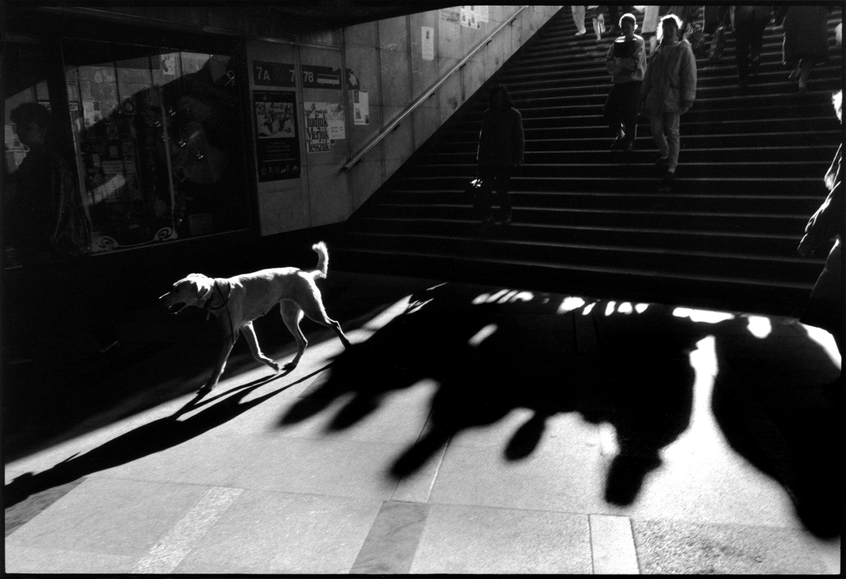 Budapest Subway