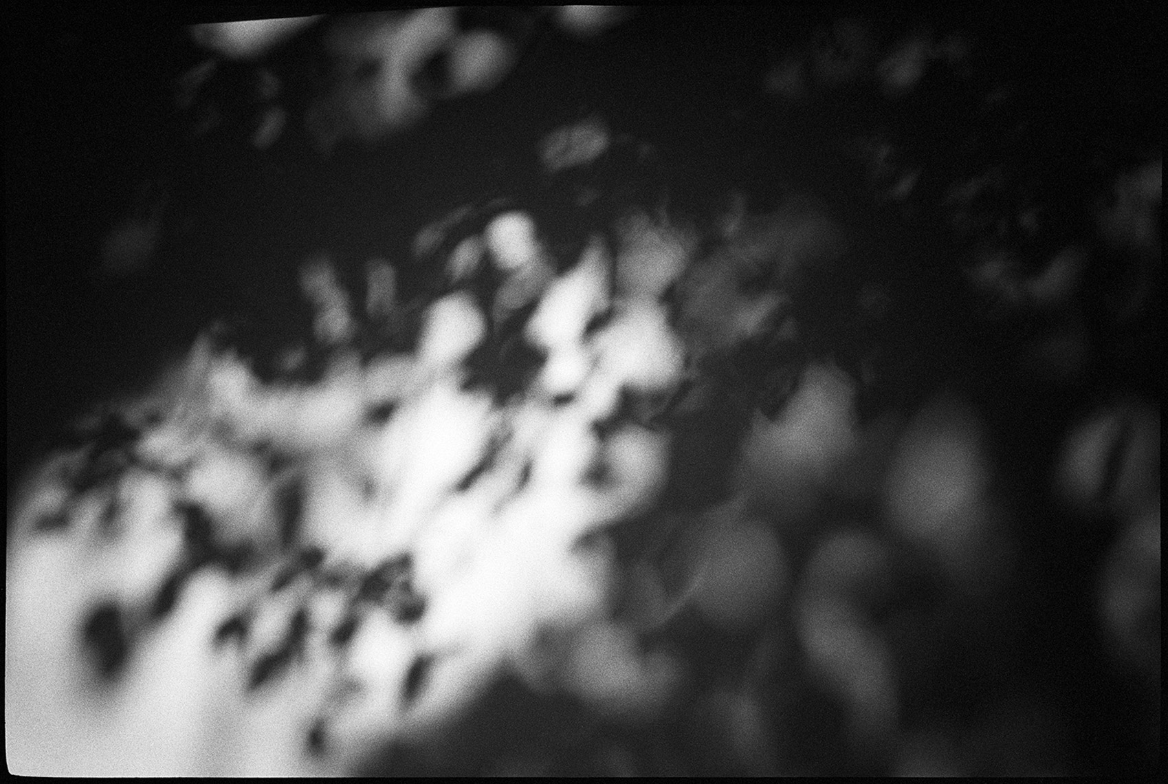 Wind-Shadows-2-MR